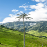 fotos de colombia