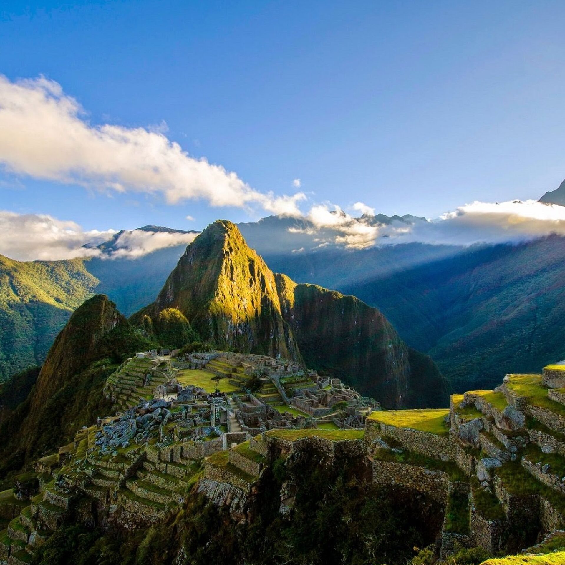 1034979380 382 0 1537 1271 1920x0 80 0 0 4690903049cdb9ad1ed34338e0773fe2